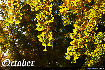 十月：秋的色彩