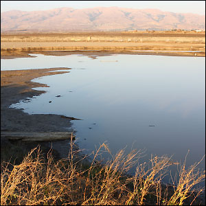 夕阳·加利福尼亚