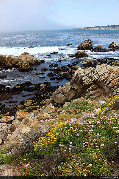 17-Mile Drive