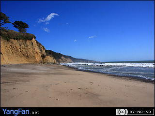 Ano Nuevo State Reserve