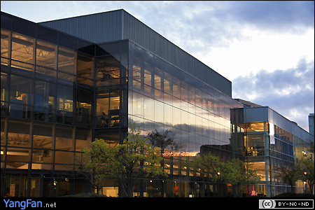 Sunset in Googleplex