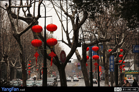 大红灯笼@保俶路