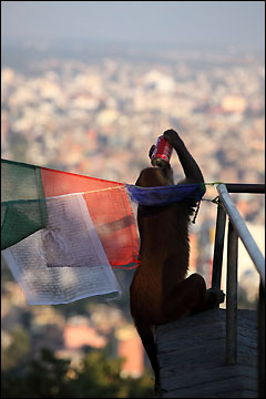 Swayambhunath, Kathmandu
