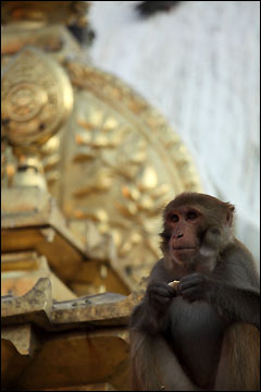 Swayambhunath, Kathmandu