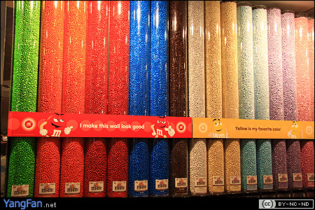 玻璃管里的巧克力